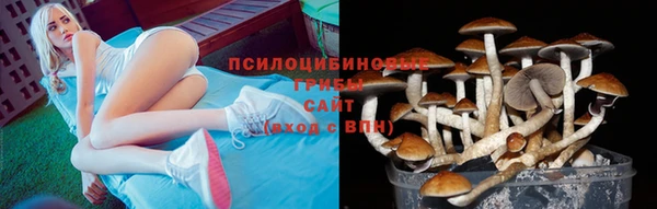 спиды Белокуриха