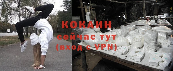 спиды Белокуриха