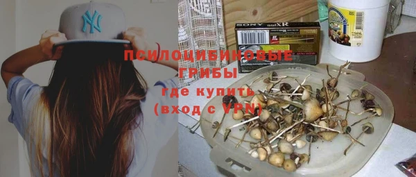 спиды Белокуриха