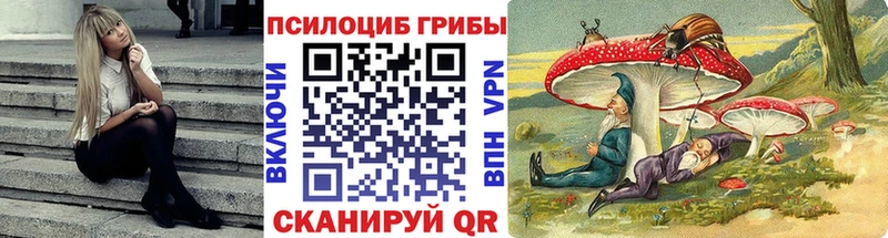 Псилоцибиновые грибы Psilocybine cubensis  Высоковск 